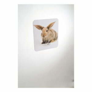 Nástenný háčik Compactor Magic Rabbit Compactor