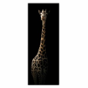 Obraz Styler Glas Animals Gira