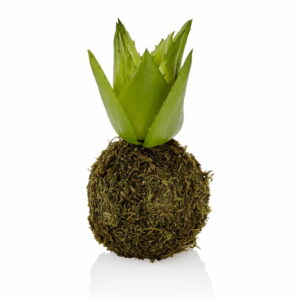 Umelá kokedama so sukulentom The Mia Succu The Mia