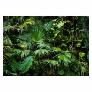 Veľkoformátová tapeta Bimago Sunny Jungle