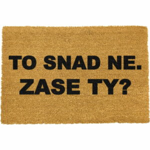 Rohožka z prírodného kokosového vlákna Artsy Doormats Zase ty?