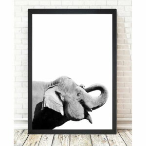 Obraz Tablo Center Elephant