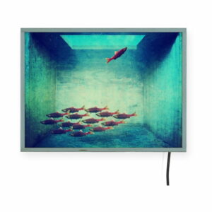 Svetelná nástenná dekorácia Surdic Free Fish
