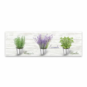 Obraz Styler Canvas Shabby Herbs
