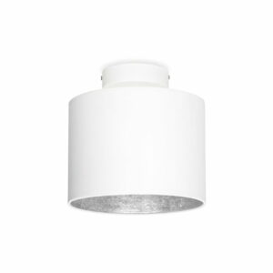 Biele stropné svietidlo s detailom v striebornej farbe Sotto Luce MIKA Elementary XS CP Sotto Luce