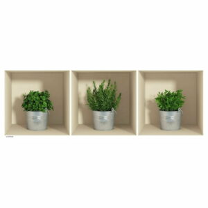 Sada 3 samolepiek s 3D efektom Ambiance Herbs in Pot Ambiance