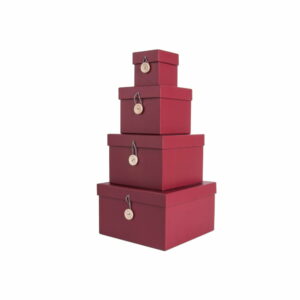 Sada 4 červených úložných boxov s vekom PT LIVING Uniform PT LIVING