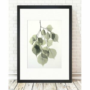Obraz Tablo Center Tender Leaves