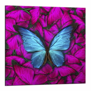 Obraz Styler Glasspik Red Butterfly