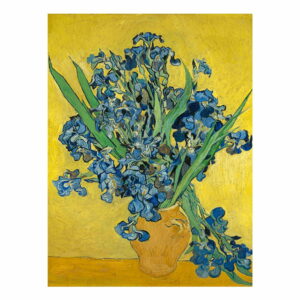 Reprodukcia obrazu Vincenta van Gogha - Irises