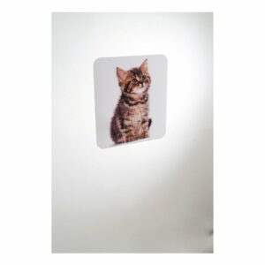 Nástenný háčik Compactor Magic Cat Compactor