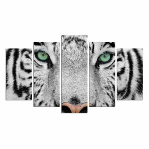 Viacdielny nástenný obraz Snow Tiger Fascination
