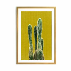 Obraz Surdic Mustard Background Cactus