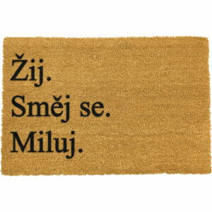 Rohožka z prírodného kokosového vlákna Artsy Doormats Žij a miluj