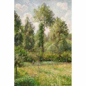 Reprodukcia obrazu Camille Pissarro - Poplars Éragny