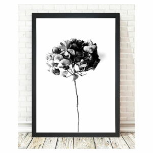Obraz Tablo Center Velvet Flower