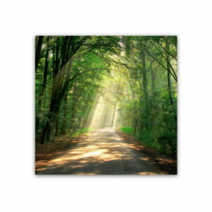 Obraz Styler Glas Nature Road