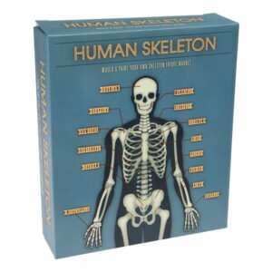 Skladací magnet svietiacich v tme Rex London Dark Skeleton Magnet Rex London