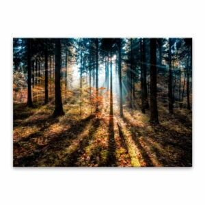 Obraz Styler Glasspik Autumn Sunset