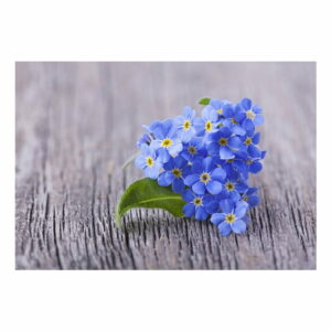 Vinylová predložka Blue