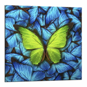 Obraz Styler Glasspik Blue Butterfly