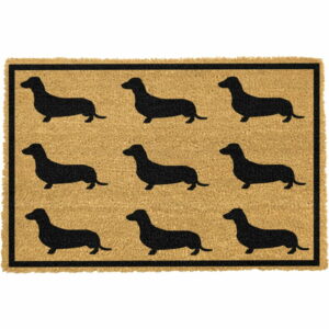Rohožka z prírodného kokosového vlákna Artsy Doormats Dachshund