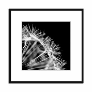 Obraz Styler Artbo× Dandelion