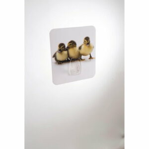 Nástenný háčik Compactor Magic Ducks Compactor