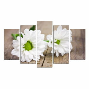 Viacdielny nástenný obraz White Gerbera Fascination