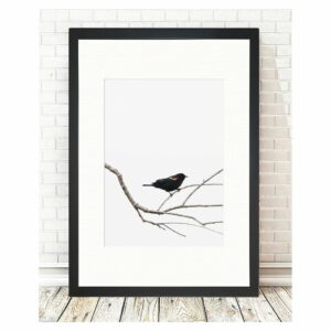 Obraz Tablo Center Birdy