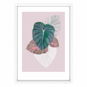 Plagát v bielom ráme Piacenza Art Alocasia Piacenza Art