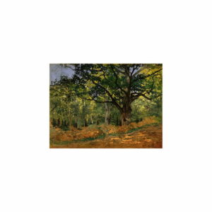 Reprodukcia obrazu Claude Monet - The Bodmer Oak