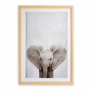 Nástenný obraz v ráme Surdic Elephant