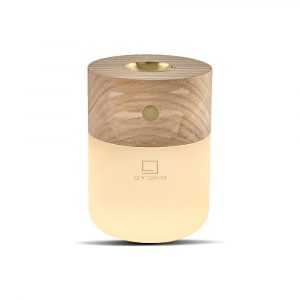 Smart difuzér Gingko White Ash Gingko